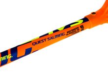 Floorball stick SALMING Composite 30 (Quest) 96/107 R




 - Floorball stick for adults