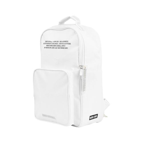 Backpacks ZONE BACKPACK BRILLIANT+ white/silver - Sport bag